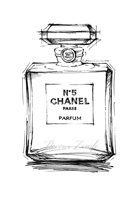 Chanel Bottle Drawing royalty.